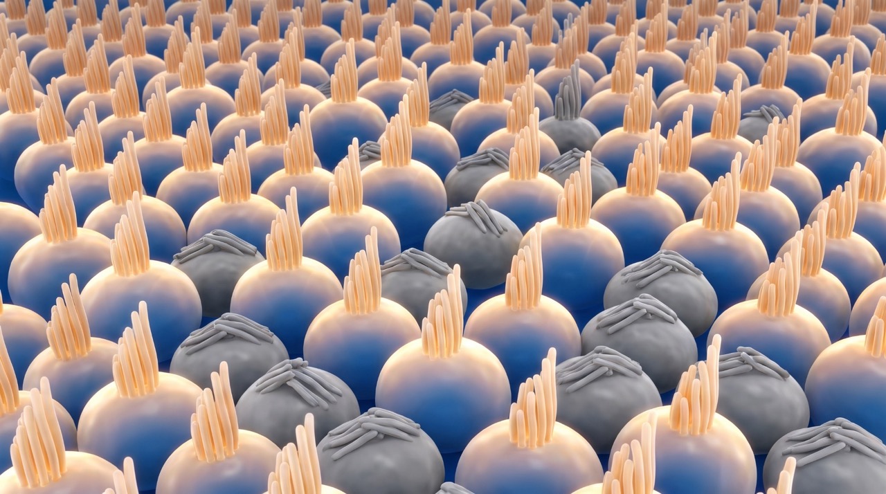 Healthy and damaged microscopic inner-ear hair cells